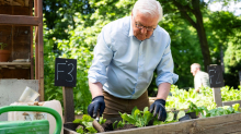 Tag des Grundgesetzes: Warum der Bundespräsident heute mitgärtnert