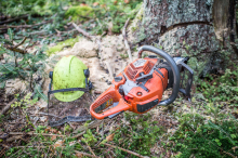 Sankt Veit: Von Baum erfasst: 47-Jähriger bei Forstunfall getötet