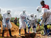 New Ebola sub-strain jumped 'from fruit bats' to humans - as Congo records more than 200 deaths while Uganda confirms three new cases