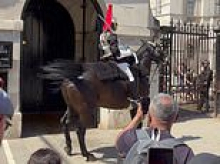 Moment King's Guard horse becomes agitated in May Day heatwave in front of packed tourist crowds