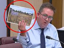 Labor MP Ali France accused of committing electoral fraud by enrolling to vote on a vacant block