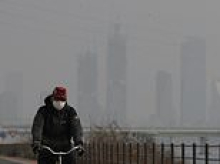 Just ONE hour of exposure to common air pollutants is enough to alter brain and lung function, study suggests