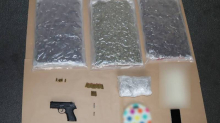 Diler iz Dubrave 'pao' s 3,5 kg droge: Našli mu pištolj i novac