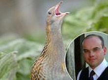 JOHN MACLEOD: So many sights, scents and sounds of Hebridean past are now long gone but, this summer, the corncrake calls again...