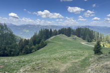 Kühe kommen wegen der Trockenheit erst später auf die Alm