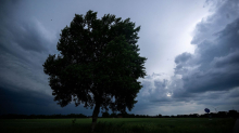 Sturmböen und Hagel möglich: Wetterdienst warnt vor Unwetter mit Gewitter und Starkregen