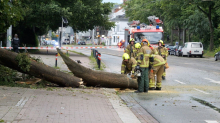 Umgestürzte Bäume und Unfälle: Viele Einsätze nach Unwetter in Niedersachsen und Bremen