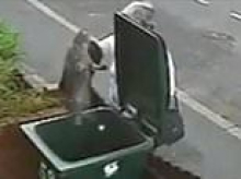 'Cat Bin Lady' Mary Bale was reviled around the globe when she threw Lola the moggie in a wheelie bin. Now, 16 years on and a recluse, she still can't live with the shame