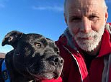 Jock the Staffie is lost in searing heat for three days - before thermal drone finds missing dog in just ten minutes