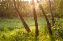 Od dežja do sonca in nazaj: prvi teden meteorološkega poletja bo vremensko pester