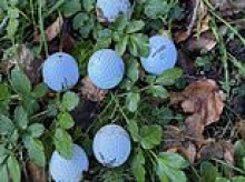 My child could end up in a coma from stray golf balls: Father fears for his family's safety as wayward shots from 18-hole course cause thousands of pounds worth of damage to home