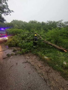 (FOTO) KRAGUJEVAC POD UDAROM OLUJE! Vetar čupao drveće, pucali kablovi, delovi grada bez struje i pod vodom - sve nadležne službe na terenu! 