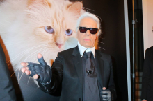 Karl Lagerfelds Erbe: Katze Choupette wartet noch immer auf Millionen