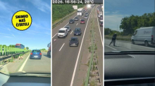 VIDEO Kolaps zbog svinja na obilaznici u Zagrebu, pokušat će ih uhvatiti. Kolona čak 7 km!