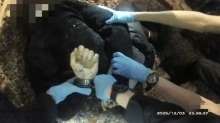„I can't breathe“: Video von Polizeieinsatz mit sterbendem Studenten empört Briten