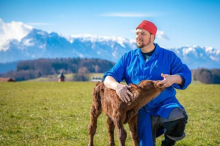23 Millionen Aufrufe: Kärntner Bauer geht mit diesem Video viral 