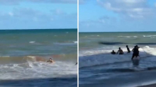 VIDEO Horor scene u Brazilu: Morski pas djevojci otkinuo nogu, prolaznici ju spašavali