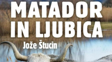 Jože Štucin: Matador in ljubica