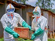 NHS warns staff to 'prepare for Ebola outbreak in the UK' as eye-bleeding disease kills hundreds in Africa: 'Stock up on PPE and isolate patients ASAP'