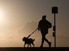 Competitive Britons strapping trackers to dogs or jogging on the spot to beat friends on fitness apps
