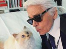 What's really happening to Karl Lagerfeld's £250m - and why it's bad news for his pampered cat: The housekeeper caring for Choupette was eagerly awaiting a huge payout... but now we reveal who's actually getting the cash