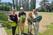 Grazer Naturprojekt: „Es lebe der Zentralfriedhof!“: Wiesen und Sträucher für bedrohte Tierarten