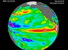 Super El Niño is inching closer: A swell of warm water HUNDREDS of miles wide has arrived in the Pacific Ocean, NASA reveals - hinting the rare climate event is imminent