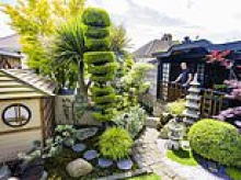 Turning Japanese! Man spends £20,000 transforming his back yard into stunning Oriental garden complete with water dragon, monk's Zen space and perfect bonsai trees