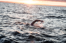 20 Bridges Swim: Steirer schwimmt 48 Kilometer rund um Manhattan