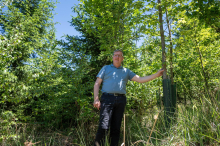 Trockenheit, Borkenkäfer, Stürme: Wie sich unser Wald jetzt verändert