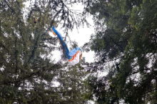 Weiz: Paragleiter stürzte aus 150 Metern ab und blieb in Baum hängen