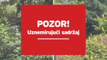 FOTO Prizori užasa u Dvoru: 'Psi su jeli mrtve pse, bilo je oko 20 leševa. Smrad je bio nesnosan'