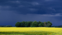 Auch Sturmböen angesagt: Mit Gewittern und Hagel: Wetter bleibt wechselhaft