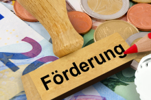 Wo jetzt eingespart wird: Geräte-Retter-Prämie fällt weg, weniger Geld für  Heizungstausch und E-Autos 