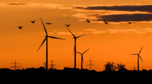 Jahresbericht vorgelegt: Rechnungshof rügt Klimaschutzpolitik des Landes