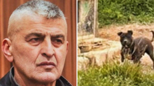 Splitski psihijatar je držao dva vuka i 67 pasa?! Na suđenju su prikazali snimke borbe pasa