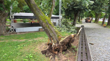 FOTO Nevrijeme protutnjalo Novom Gradiškom: Vjetar čupao stabla i krovove sa zgrada