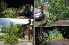 NEVREME ČUPALO DRVEĆE U SRBIJI: Grad na udaru strašne oluje – ekipe hitno izašle na teren da saniraju štetu (FOTO)