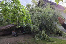 Unwetter im Südosten: Sturm entwurzelte Bäume und deckte Dächer ab