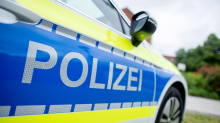 Tiere: Rätsel um tote Katzen – DNA-Test soll Wildtier entlarven