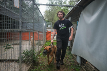 Arche Noah: Wirbel um Finanzierung der neuen Außenanlage für Hunde