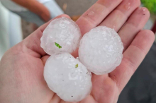 Kärnten: Hagel verursachte große Schäden in der Landwirtschaft