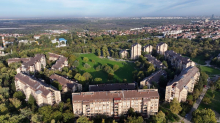 ULICA LIPA, PLATANA, KEDROVA... Beogradsko naselje gde se adrese traže po brezama i omorikama - ulice kao mapa prirode: Evo zanimljivosti u prestonici!