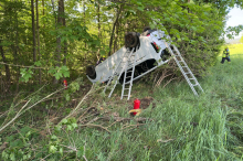 An der L 118: 26 Wildunfälle in drei Jahren: Hier wollen Jäger jetzt die Straße sichern