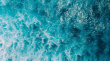 Oceani, l'Italia aderisce all'Alleanza G7 per la gestione delle aree marine protette