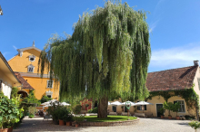Schloss Gamlitz: Nach der Pleite steht just Hans Kilger ante portas