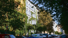Umwelt: Berlins Straßenbäume brauchen Wasser - So gießt man richtig
