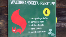 Hitzewelle: Thüringenforst mahnt zu Vorsicht im Wald - Hohe Brandgefahr