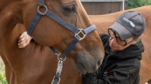 Tiere im Dienst: „Was gibt es Schöneres“: die Arbeit einer Pferde-Osteopathin