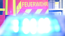 Notfälle: Baum kracht knapp vors Auto - Fahrerin unverletzt